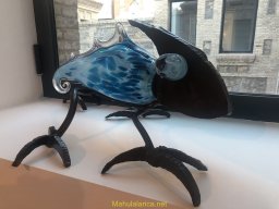 Exposición de Flyppy 2023